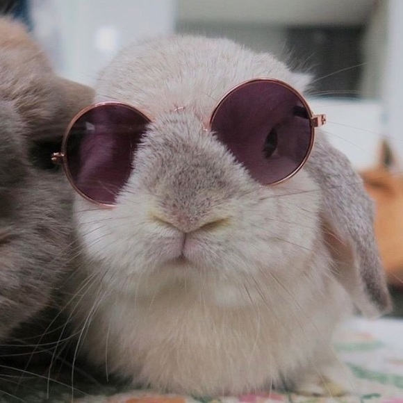 Meet your Posher, Graciela - Picture 1 of 1